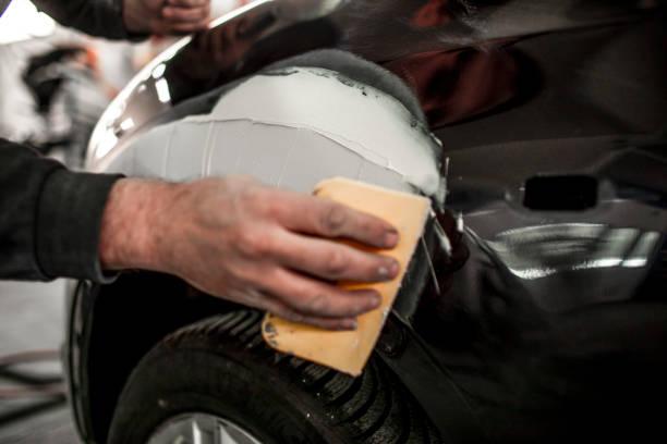 Best Biohazard Mold Removal  in South Haven, IN