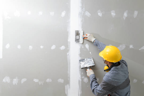 Best Mold Documentation for Insurance Claims  in South Haven, IN