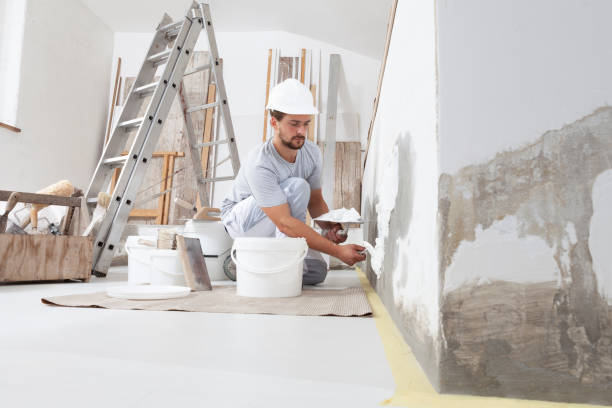 Best Black Mold Removal  in South Haven, IN