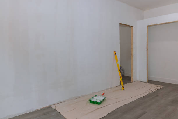 Best Biohazard Mold Removal  in South Haven, IN