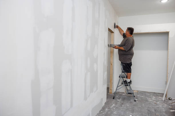 Best Water Damage & Mold Remediation  in South Haven, IN