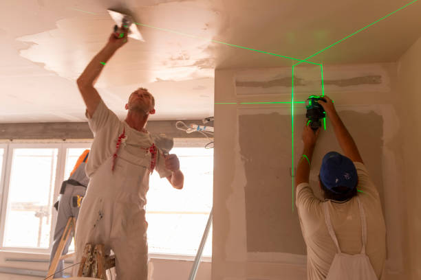 Best Mold Damage Restoration  in South Haven, IN