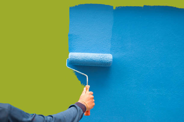 Best Basement Mold Removal  in South Haven, IN