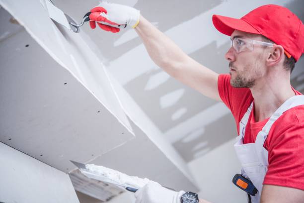 Biohazard Mold Removal in South Haven, IN